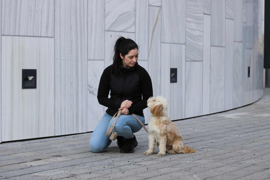DIGITALT HUNDEKURS 6 MÅNEDER