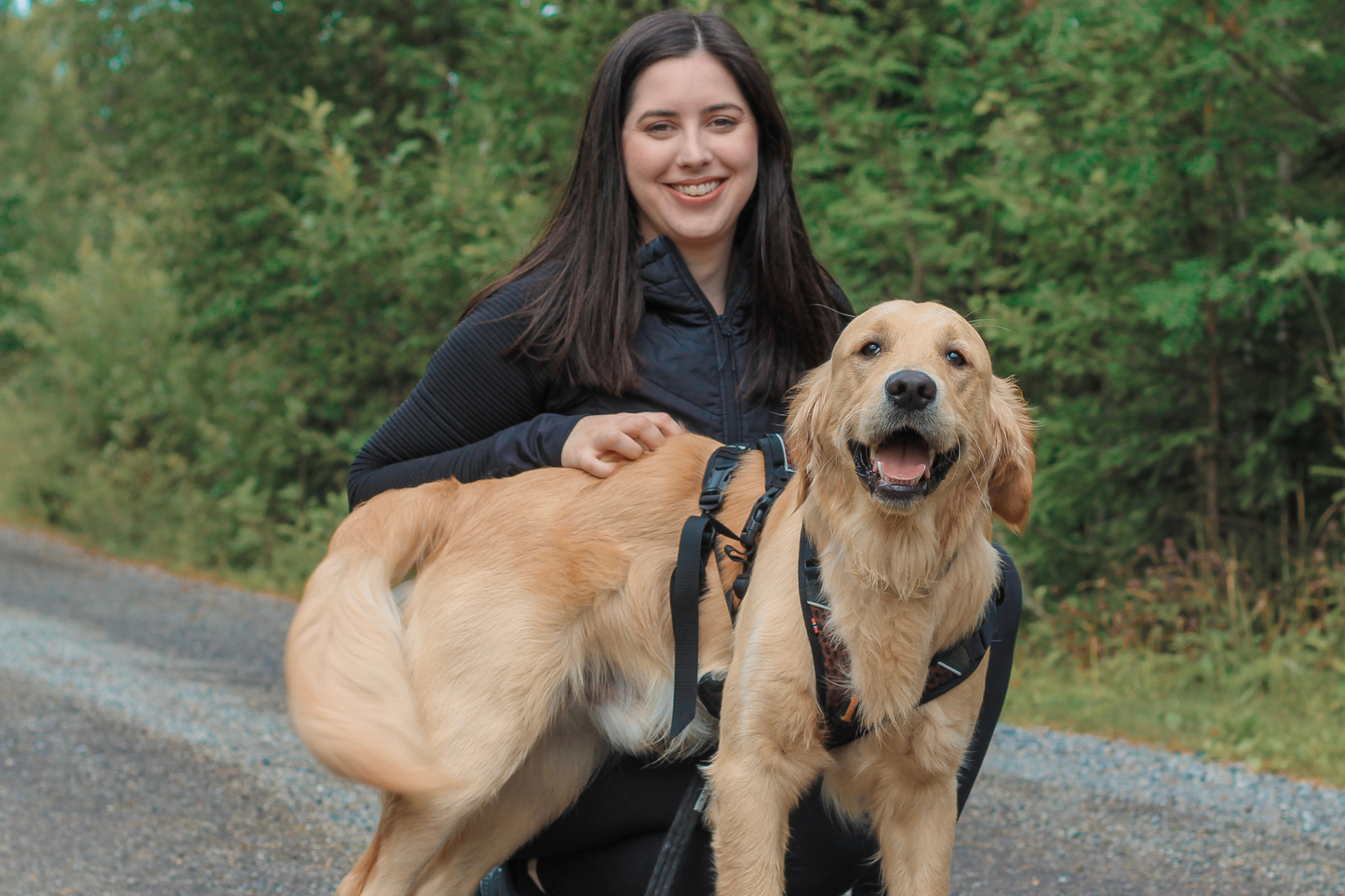 HUNDETRENING HOS DEG (HALV/HEL DAG)