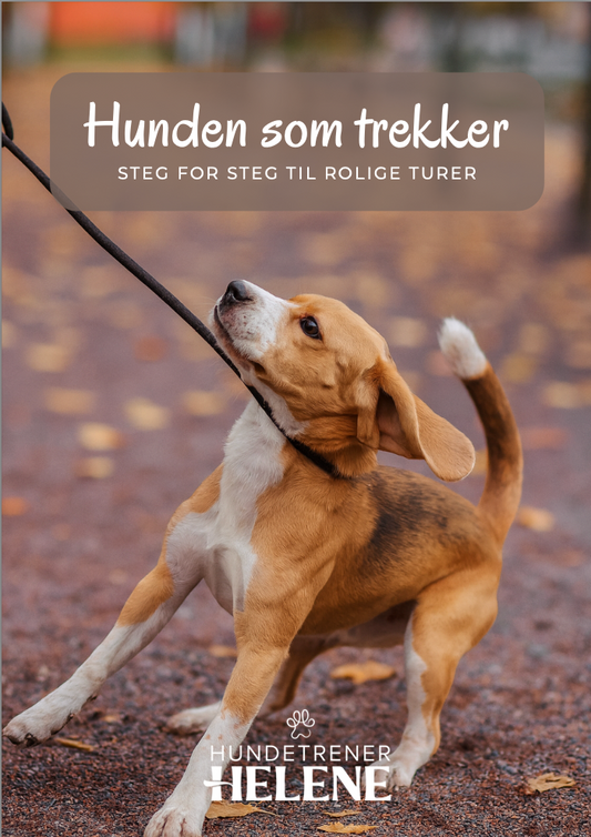 E-BOK: HUNDEN SOM TREKKER