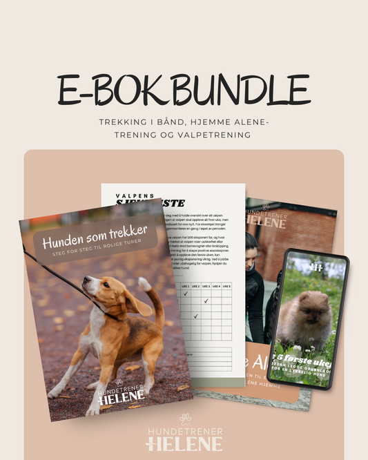 E-BOK: GRUNNPAKKE HUNDETRENING